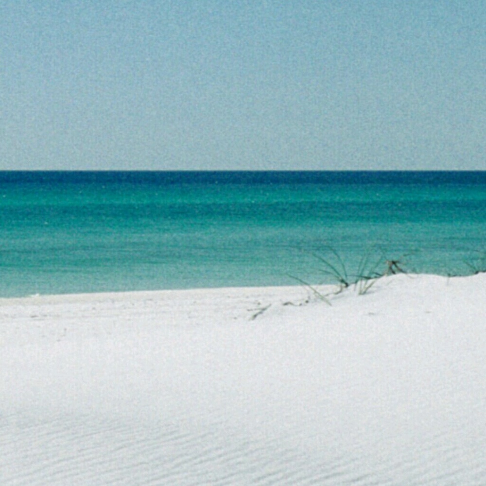 Meet your Posher, Susie